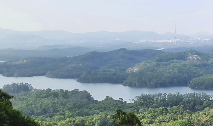 View on the mountain top.