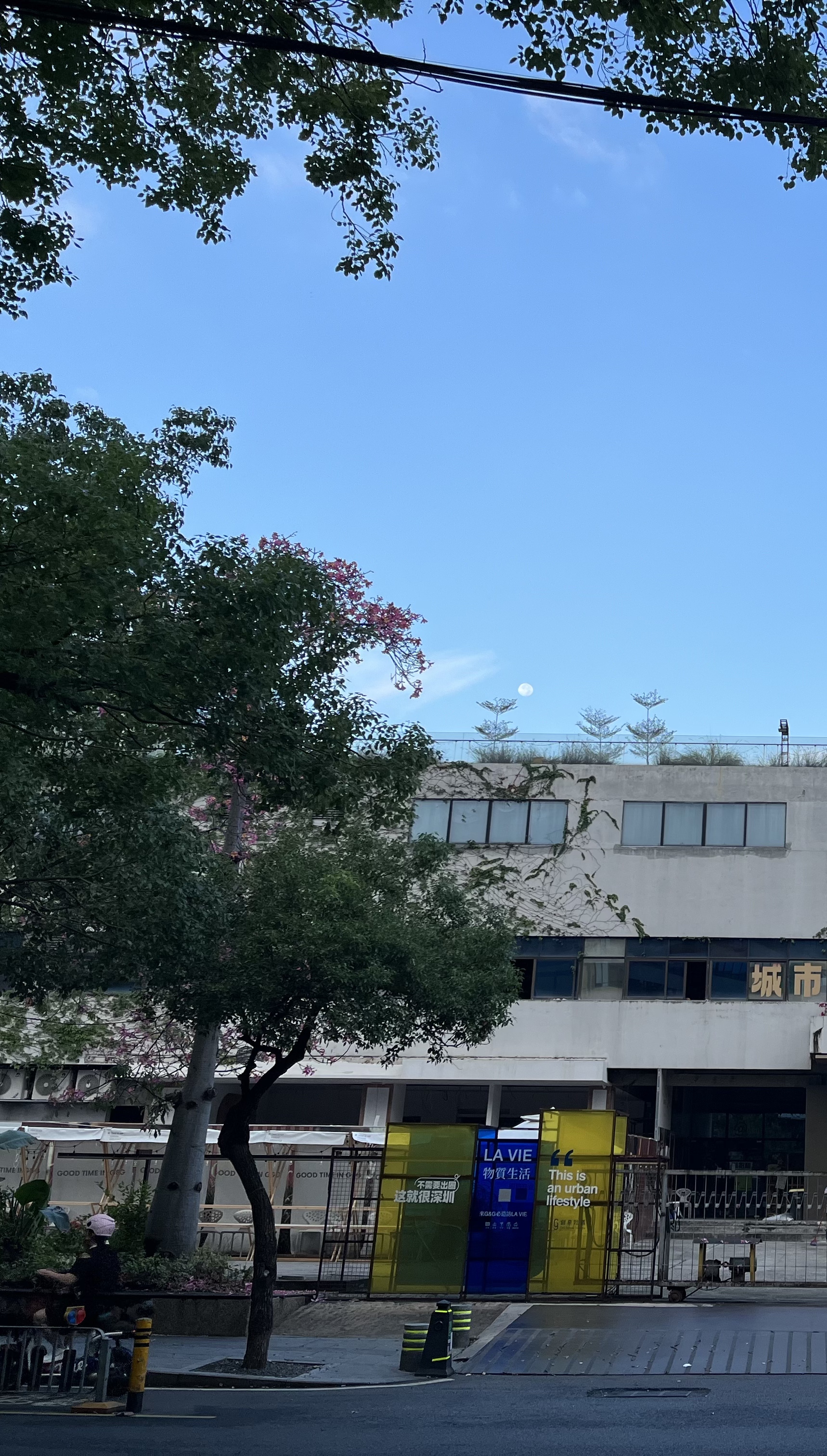 Morning moon
