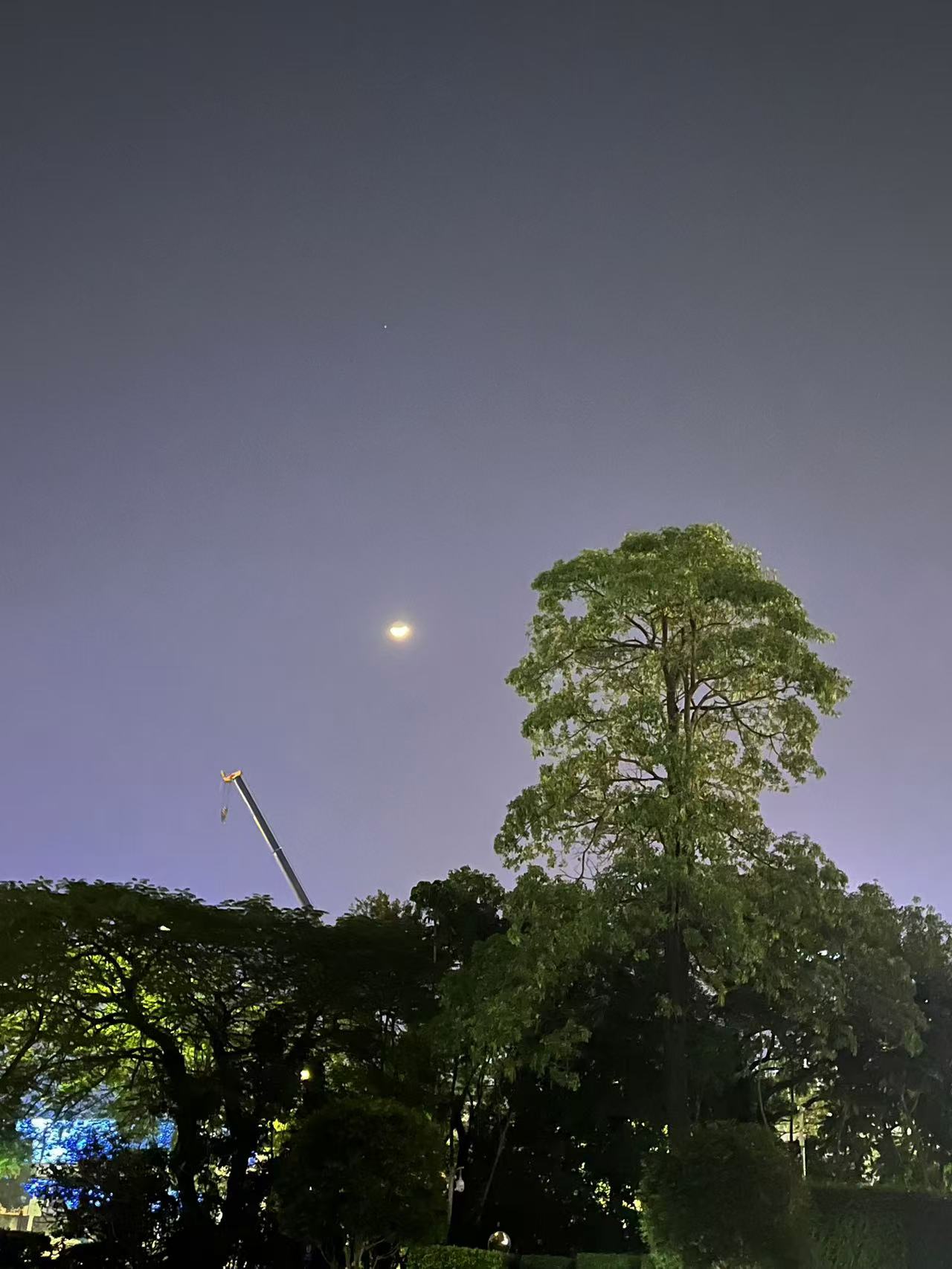 Moon night