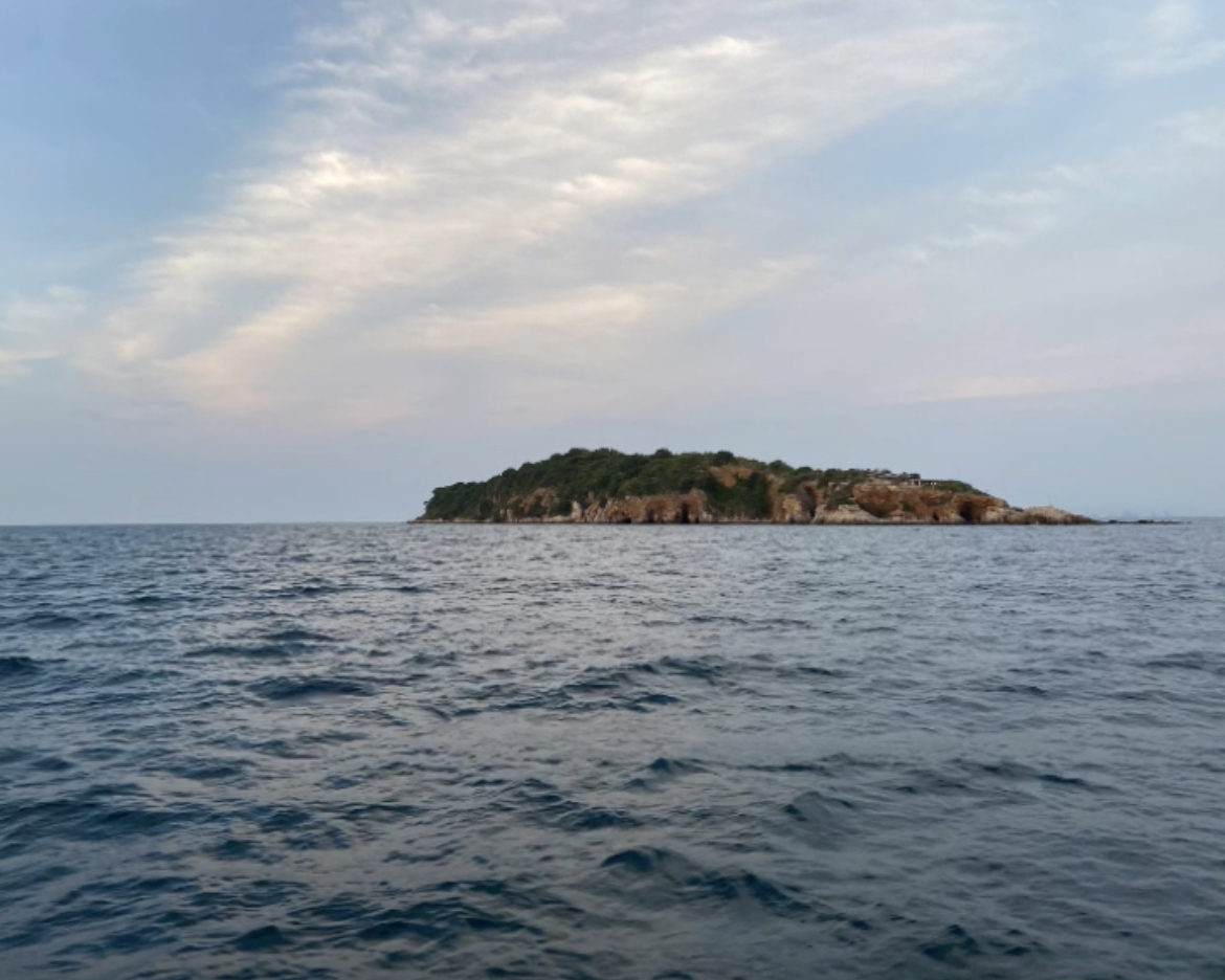 A tranquil seascape showing a distant island with rocky shores and lush greenery under a soft, cloudy sky.
