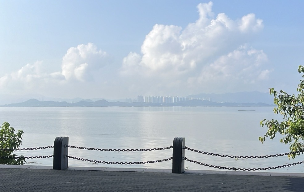 A scenic view of a calm waterfront with mountains in the background and a city skyline in the distance.