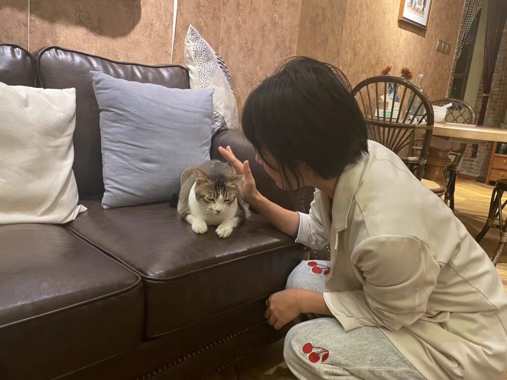 Falls petting a cat