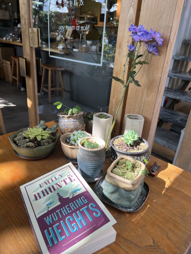 A book on a table with plants