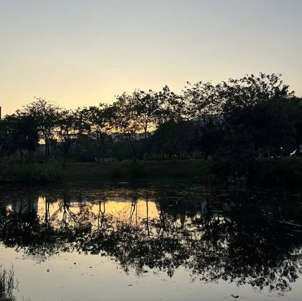 Sunset against the water