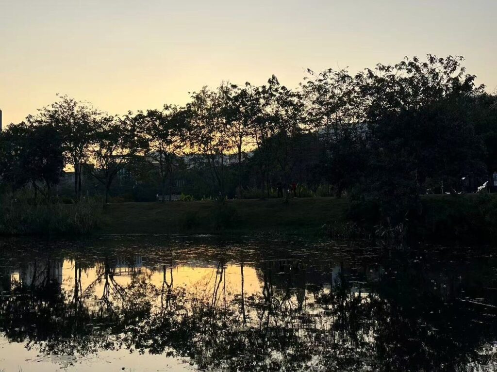 Sunset against the water