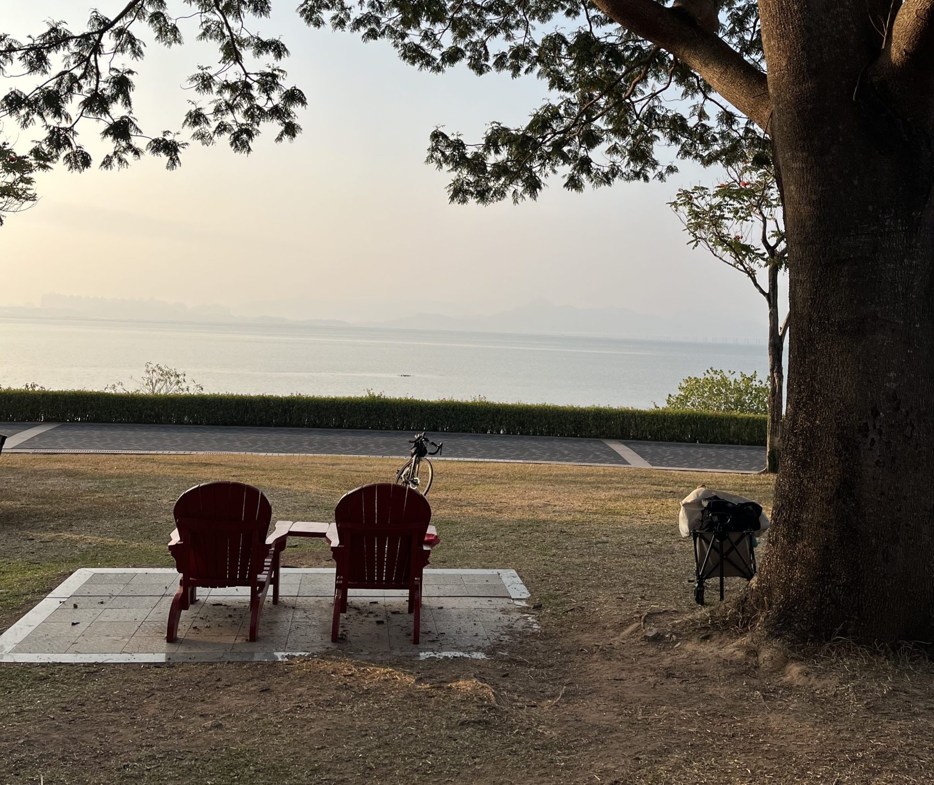 Two red chairs under a tree by the sea