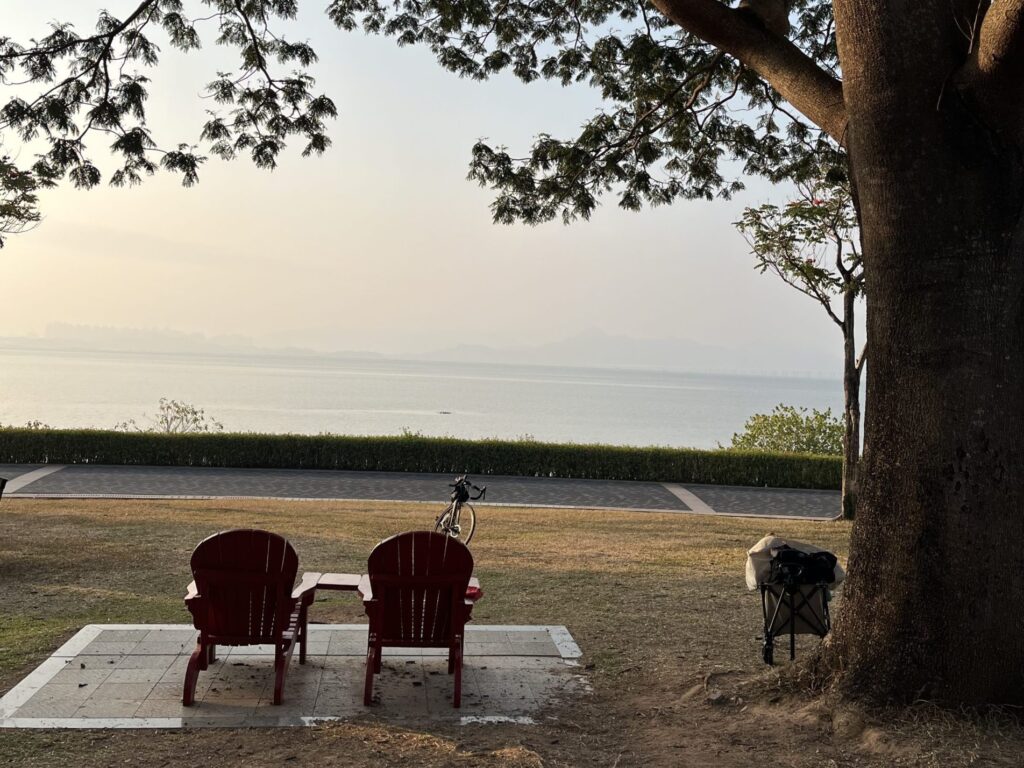 Two red chairs under a tree by the sea