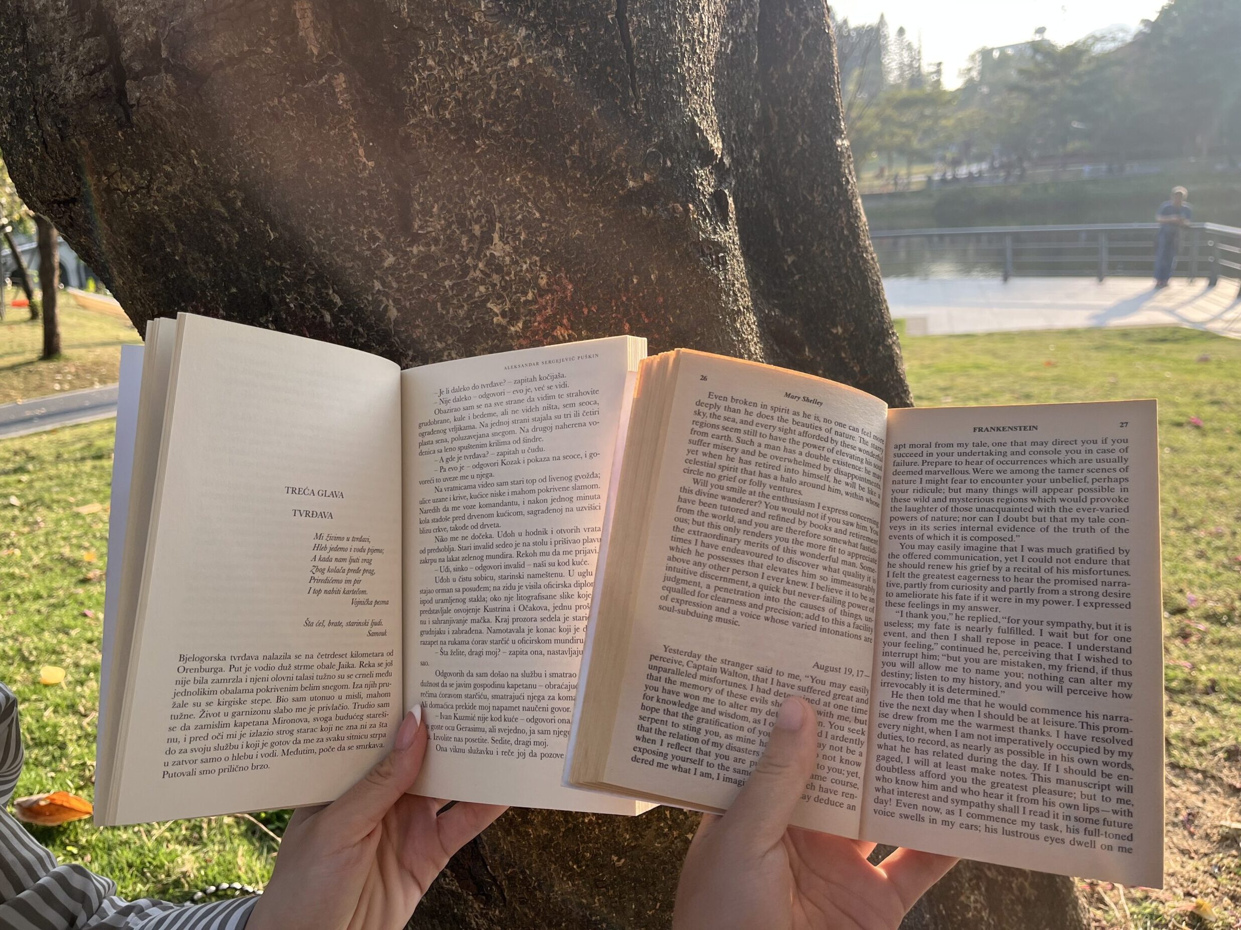 Two books leaning against a tree trunk.