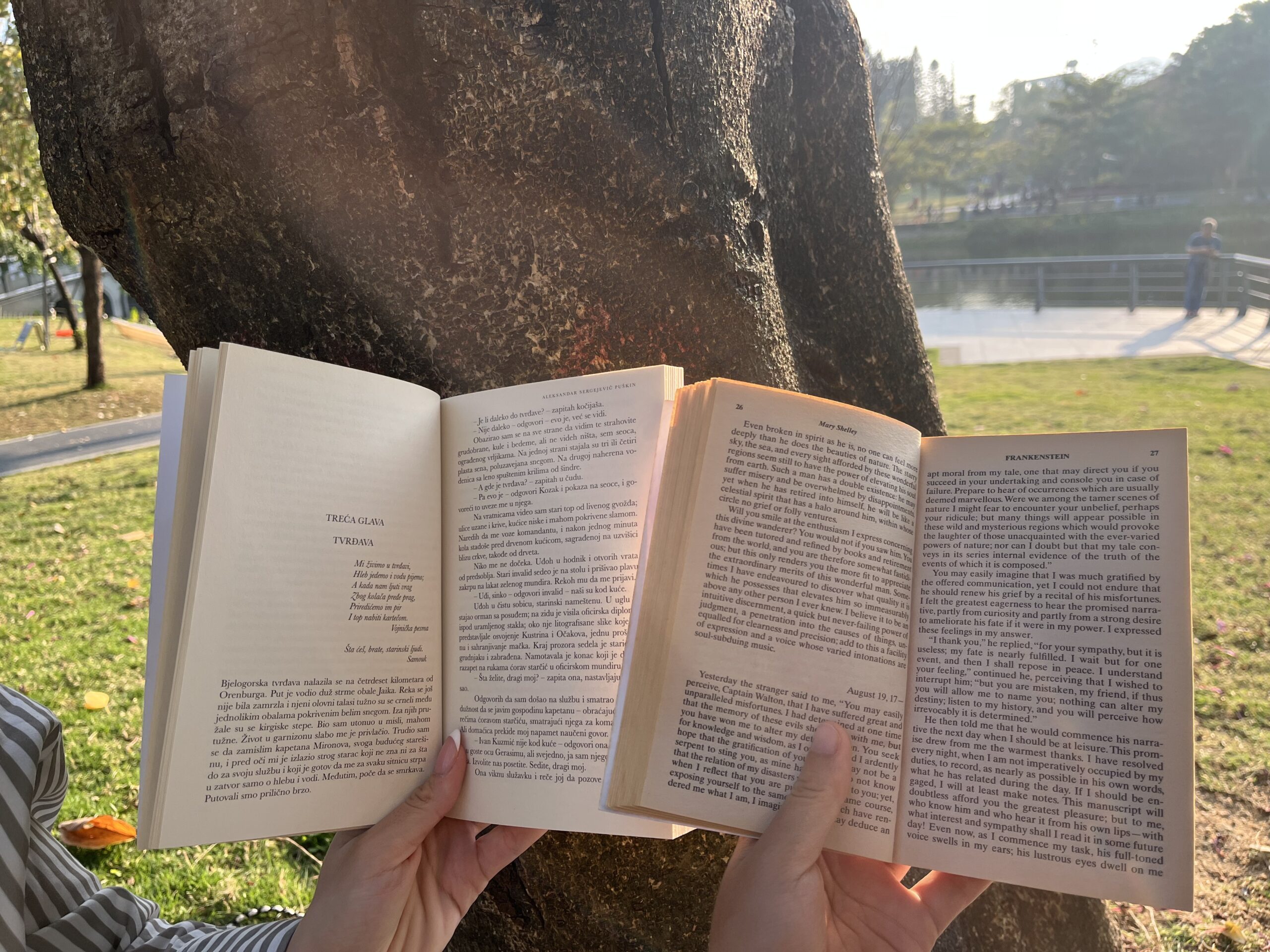 Two books leaning against a tree trunk.