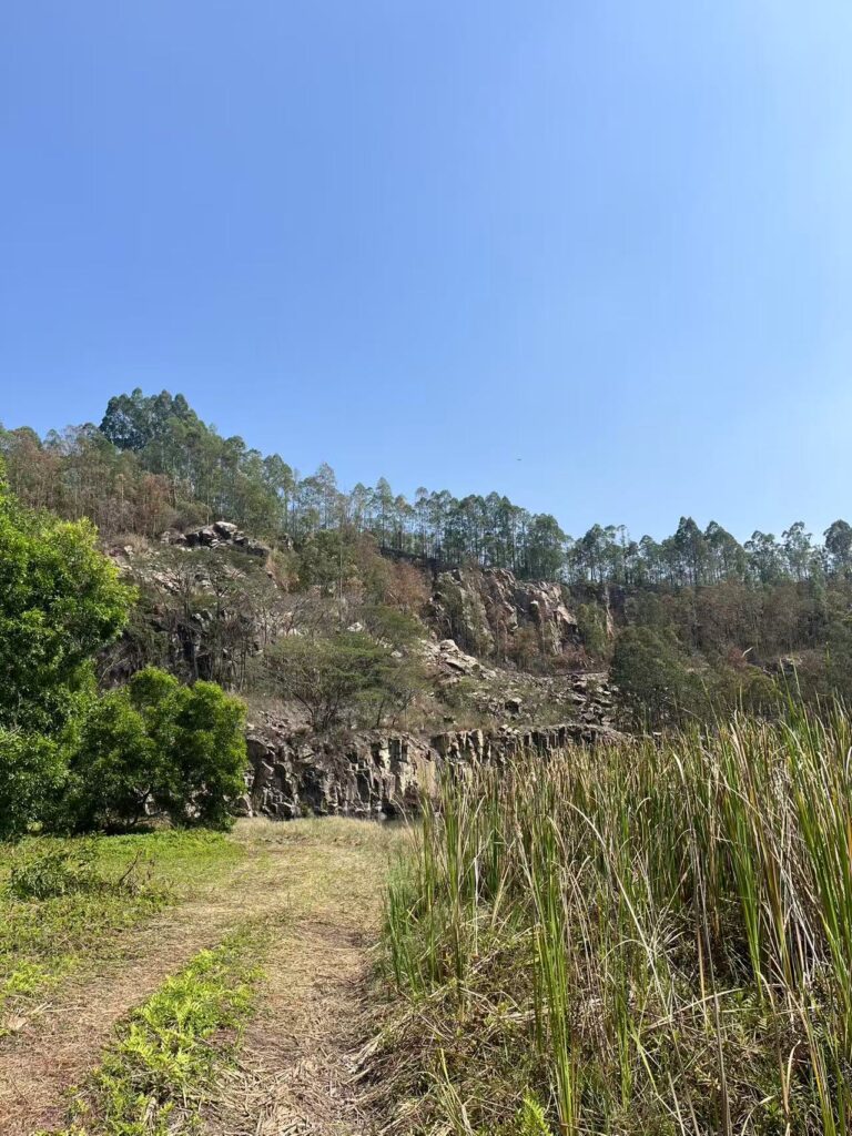 Wild view