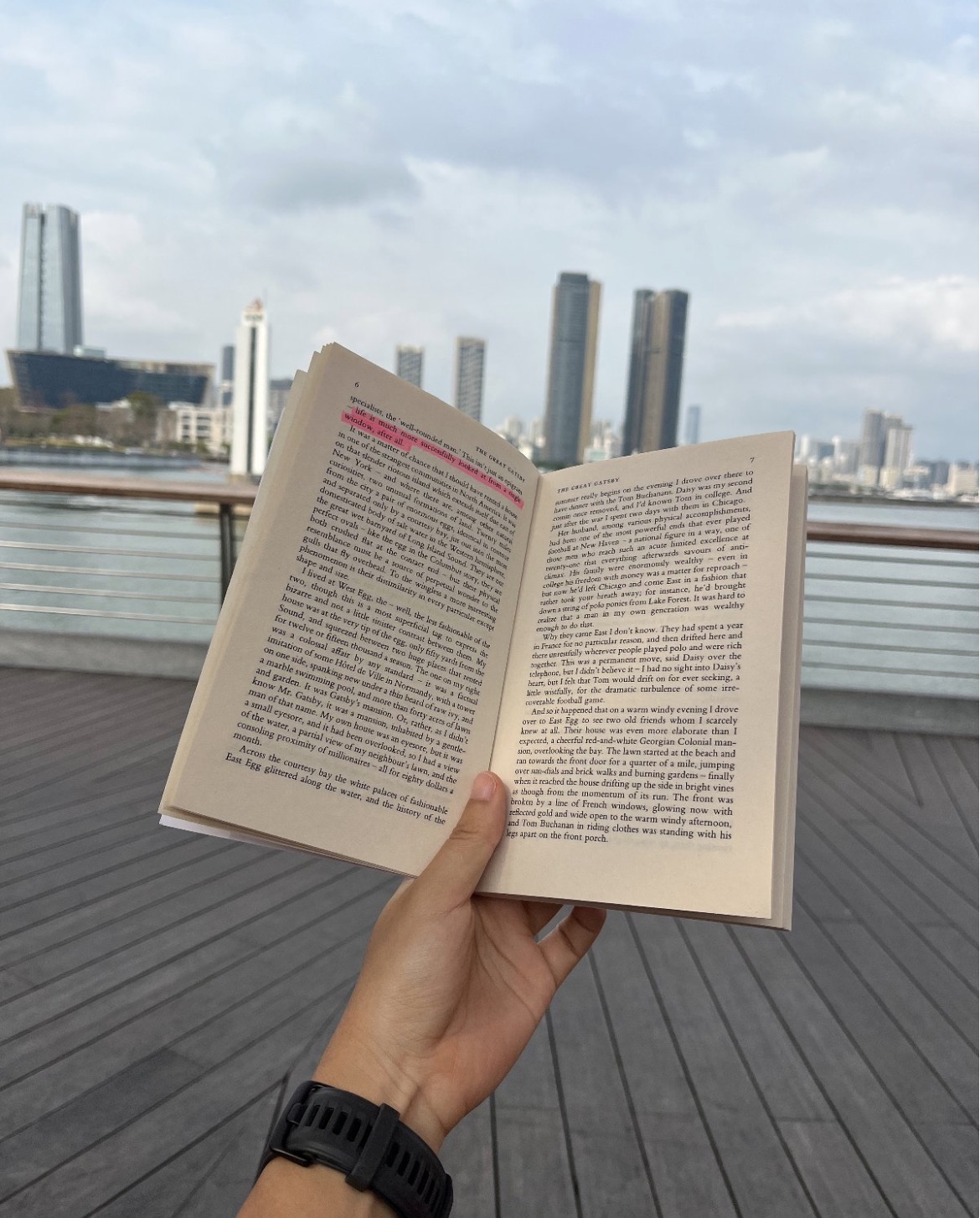 Holding a book against the seaview