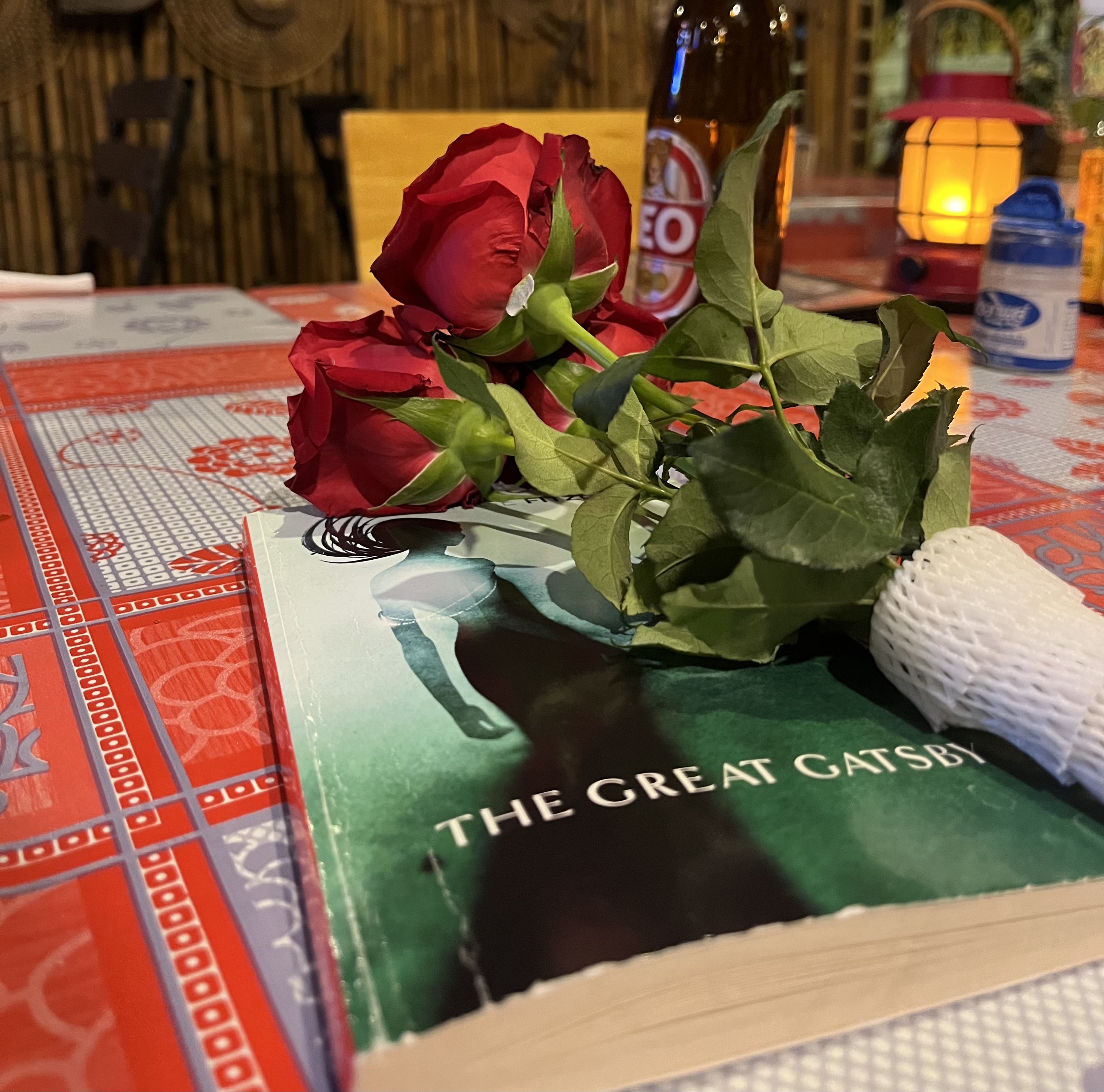 Book, roses and beer