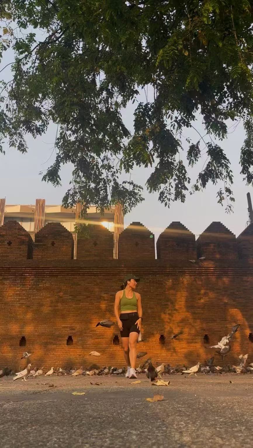 Pigeons by the city wall on a quiet morning run abroad