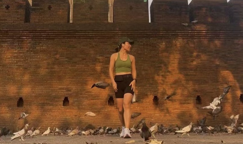 Pigeons by the city wall on a quiet morning run abroad