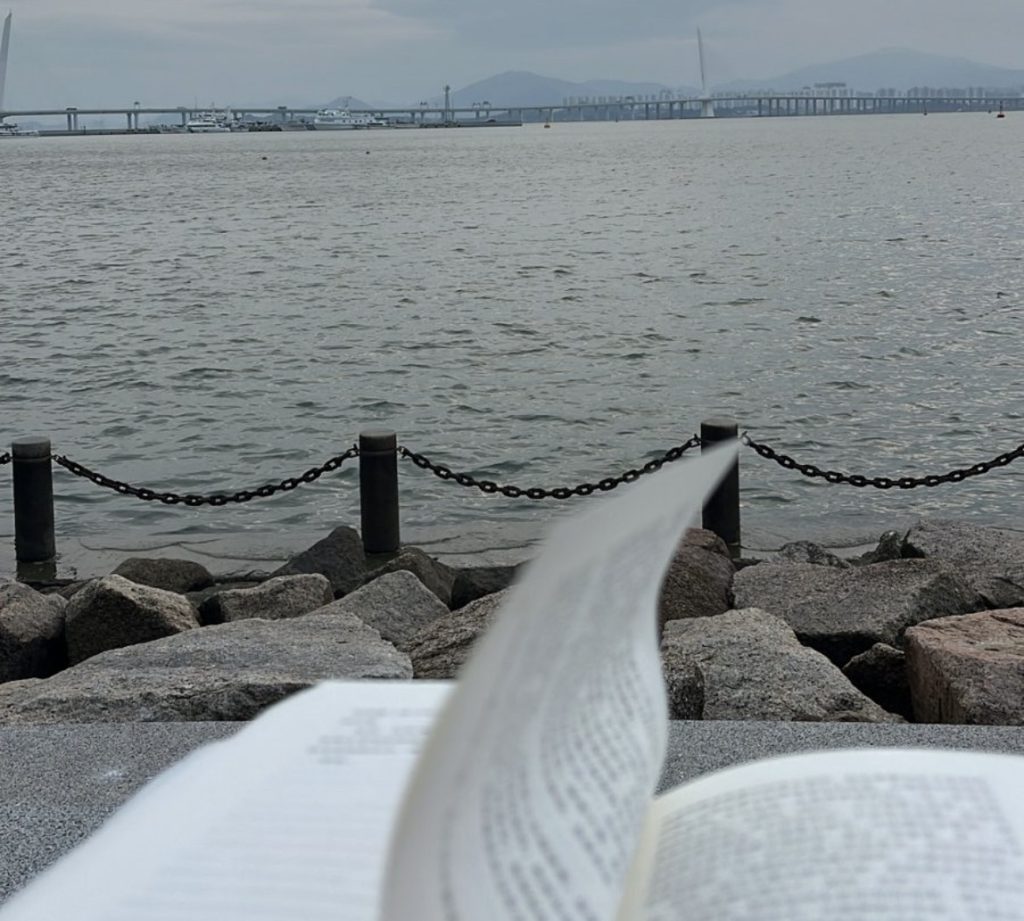 An open book with pages gently turning in the wind, capturing a peaceful moment of reading and reflection.