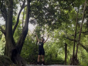 Falls looking up at the green forest canopy while hiking alone, finding peace in nature and learning to be alone.