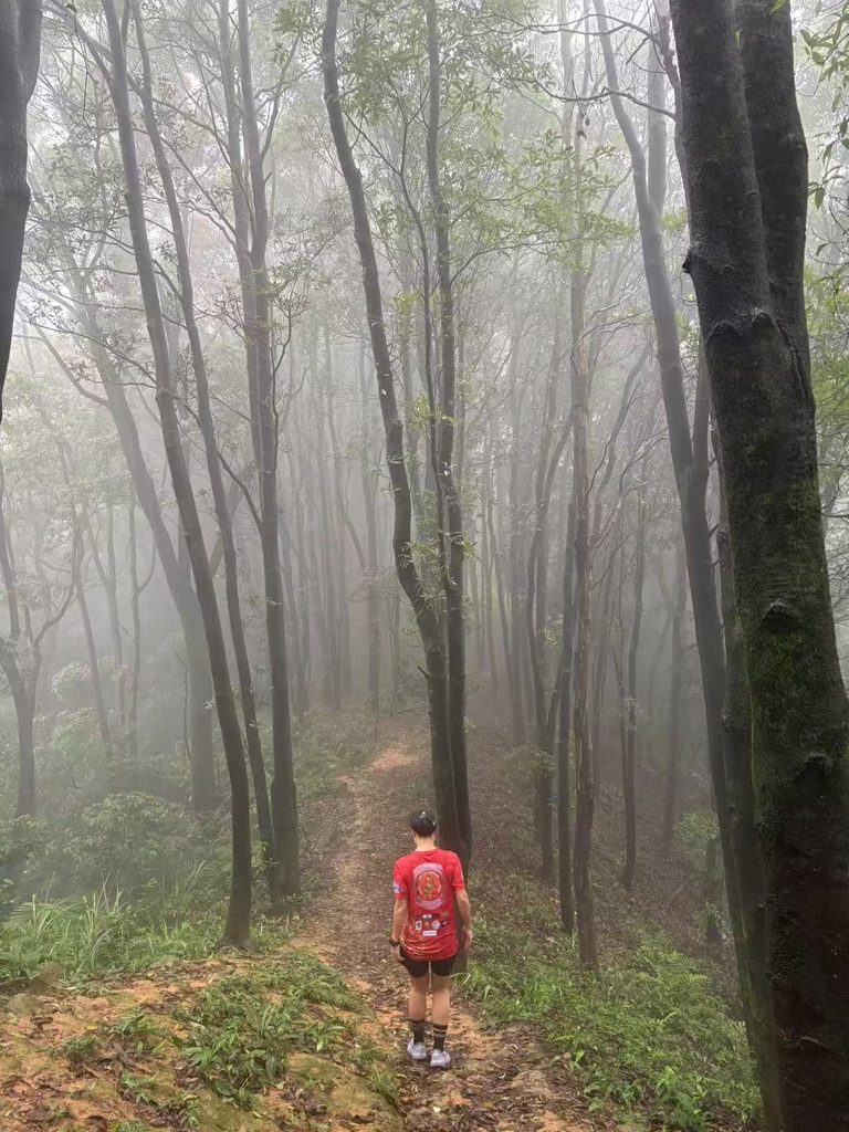 Falls walking through a misty forest surrounded by tall trees during a rainy hike.
