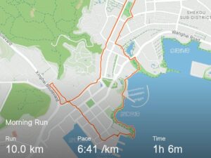 Strava record showing a 10 kilometer morning run