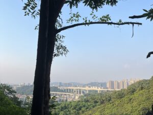 A mountain view of buildings, a bridge, and trees in the distance