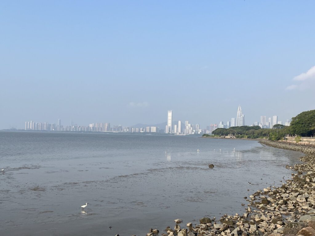 A bird perched on a scenic coastal beach during early morning, with a city skyline in the background.
