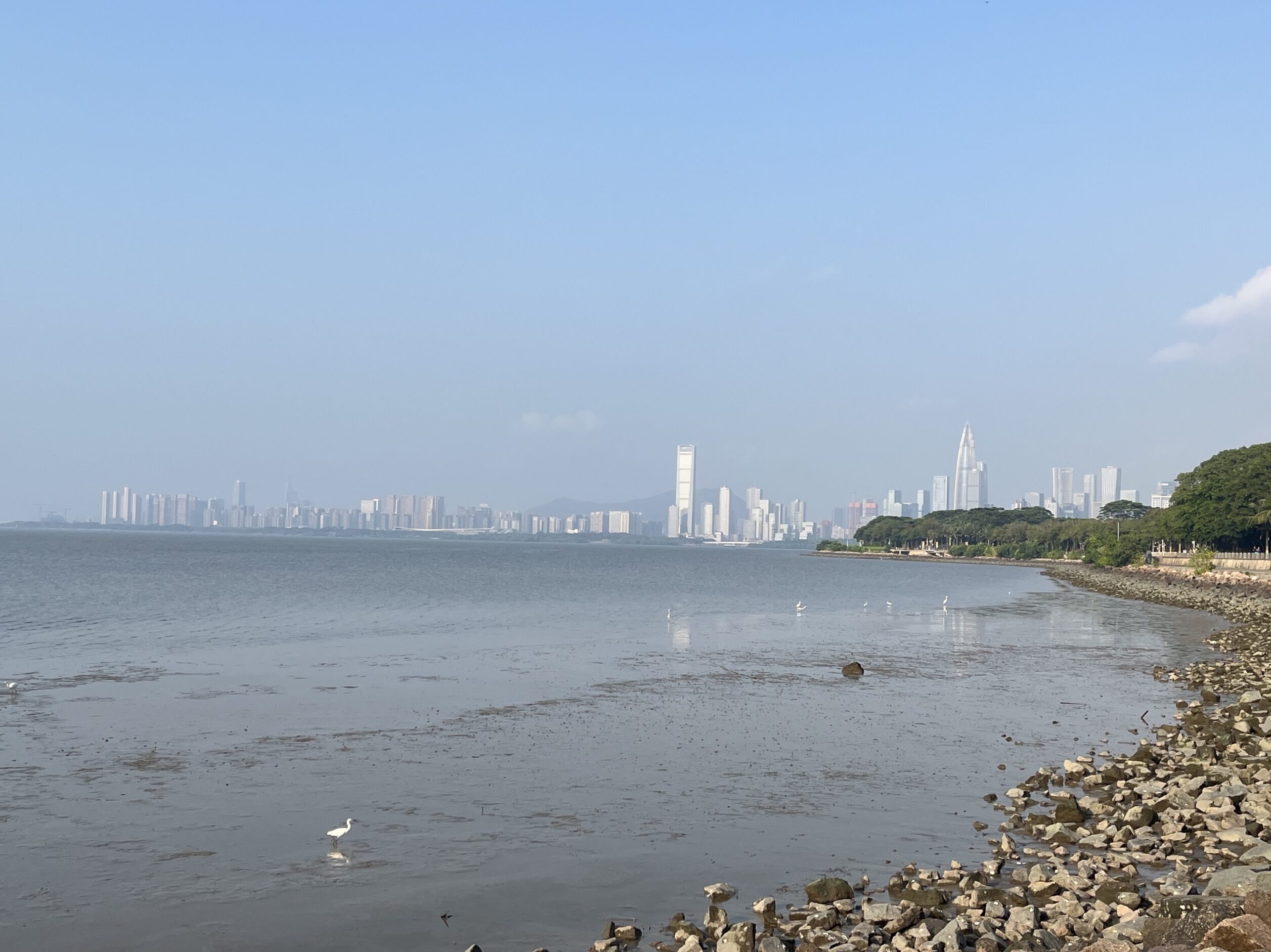 A bird perched on a scenic coastal beach during early morning, with a city skyline in the background.